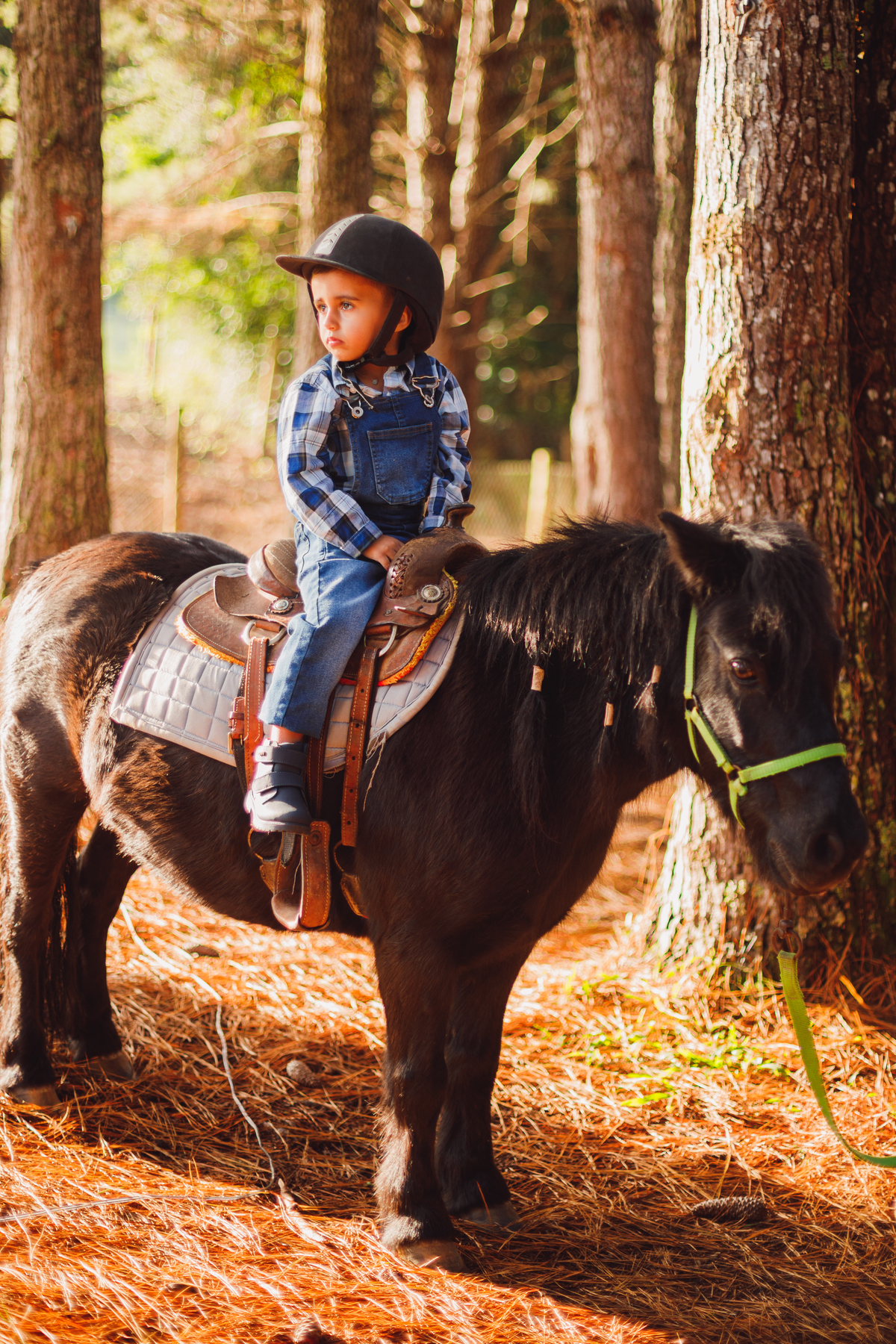 Fotografa familia curitiba - ensaio externo fazendinha vila dos animais