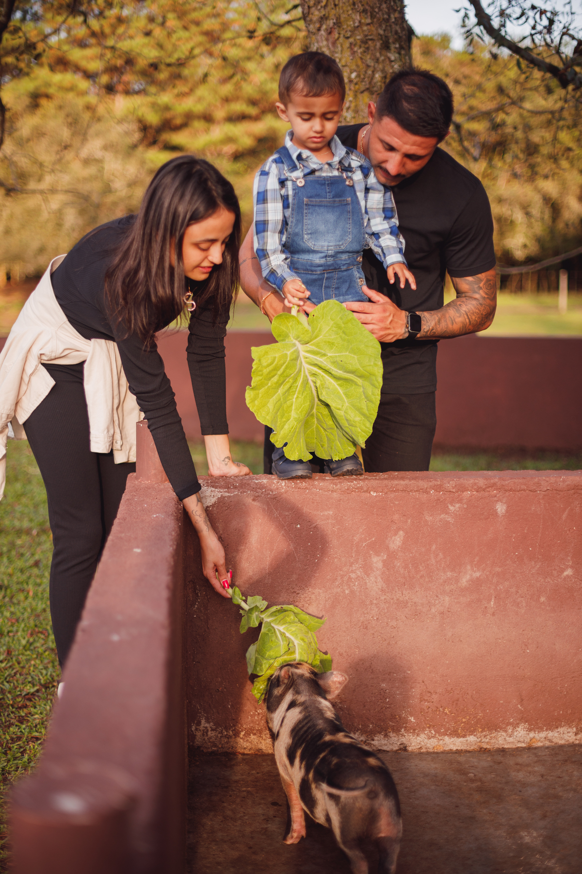 Fotografa familia curitiba - ensaio externo fazendinha vila dos animais