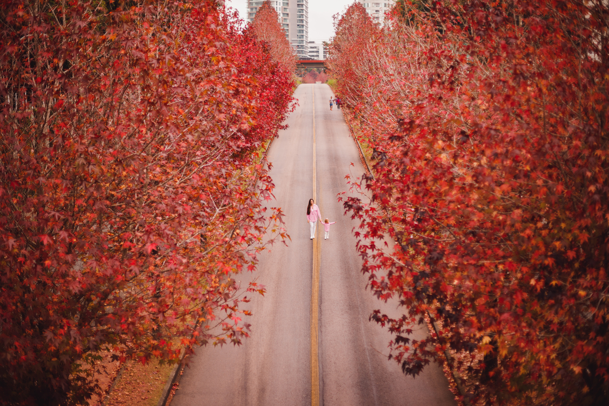Fotografa familia Curitiba - Ensaio de outono externo bebes