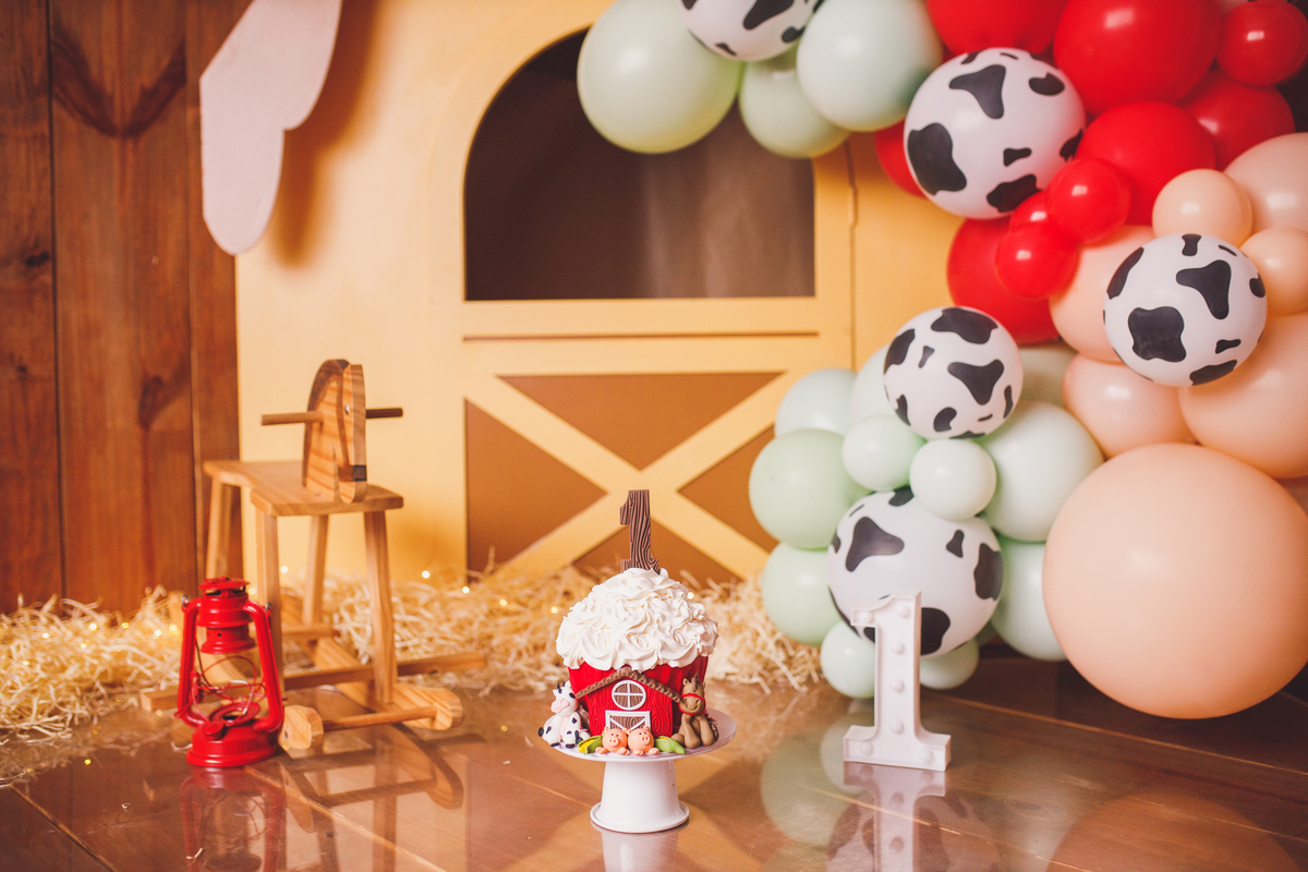 Fotografa familia Curitiba - smash the cake menino fazendinha