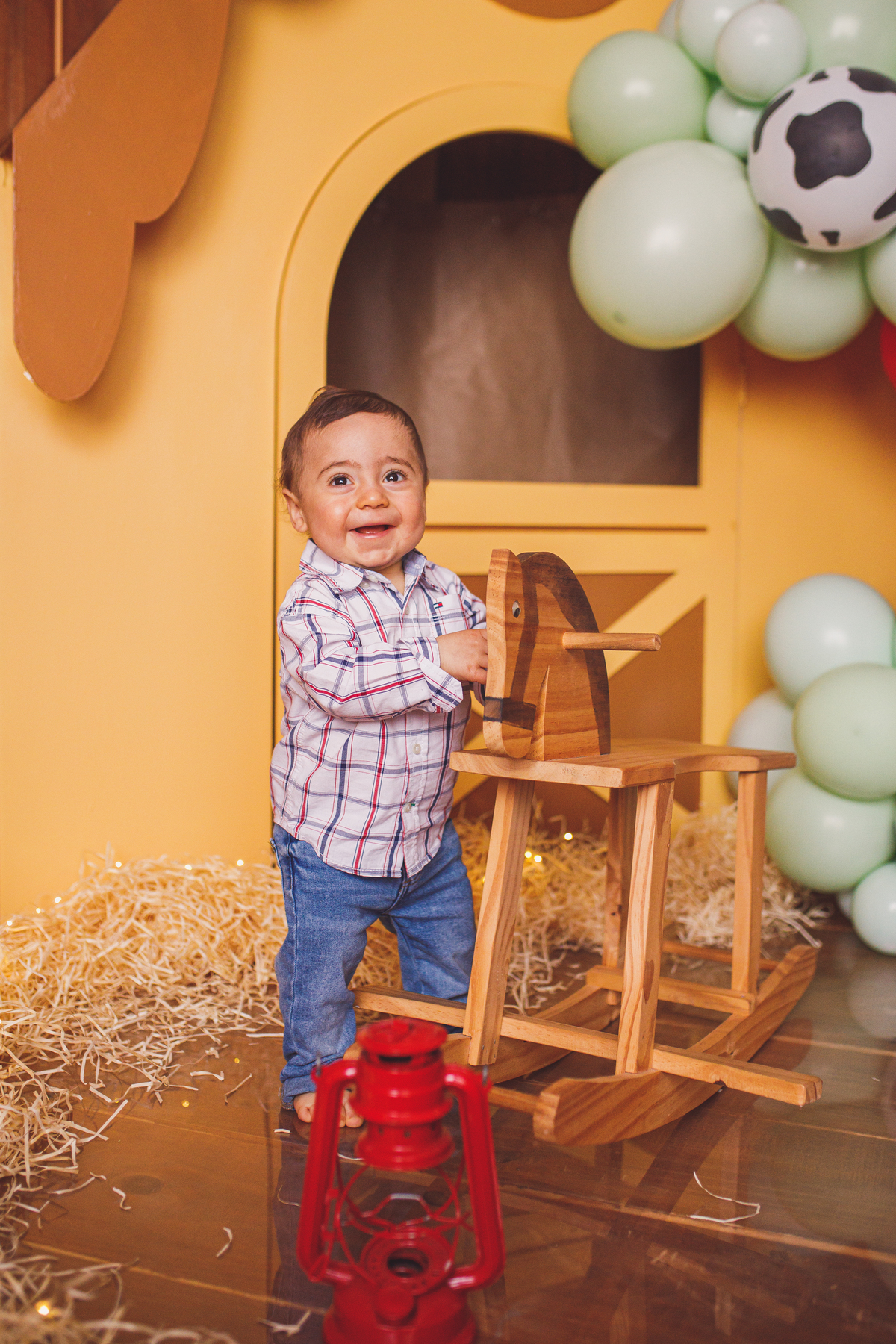 Fotografa familia Curitiba - smash the cake menino fazendinha