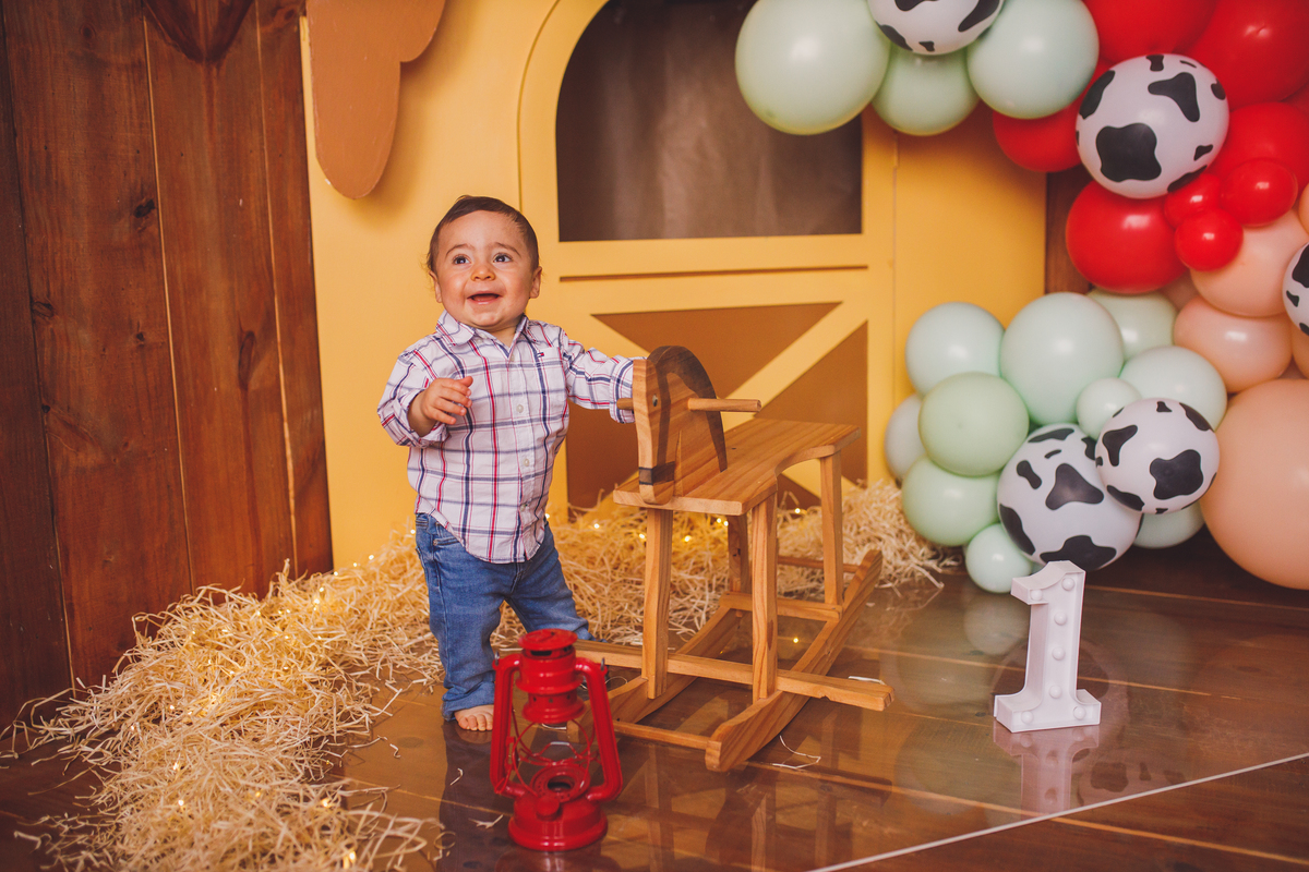 Fotografa familia Curitiba - smash the cake menino fazendinha