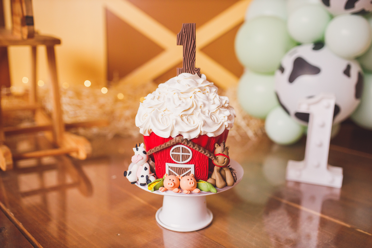 Fotografa familia Curitiba - smash the cake menino fazendinha