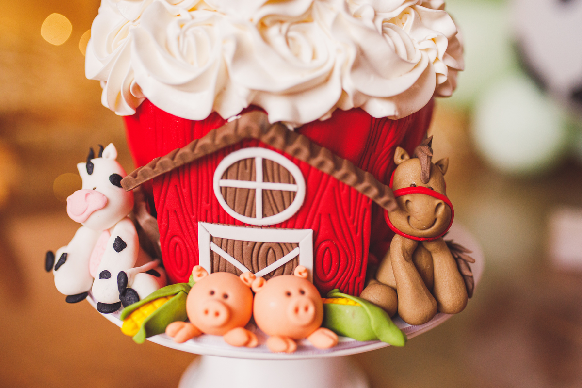 Fotografa familia Curitiba - smash the cake menino fazendinha