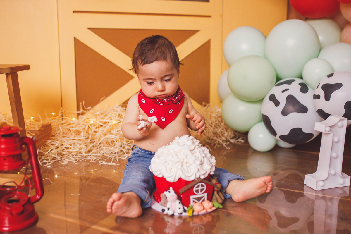 Fotografa familia Curitiba - smash the cake menino fazendinha