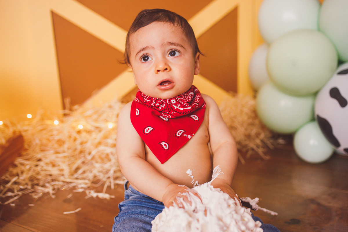 Fotografa familia Curitiba - smash the cake menino fazendinha