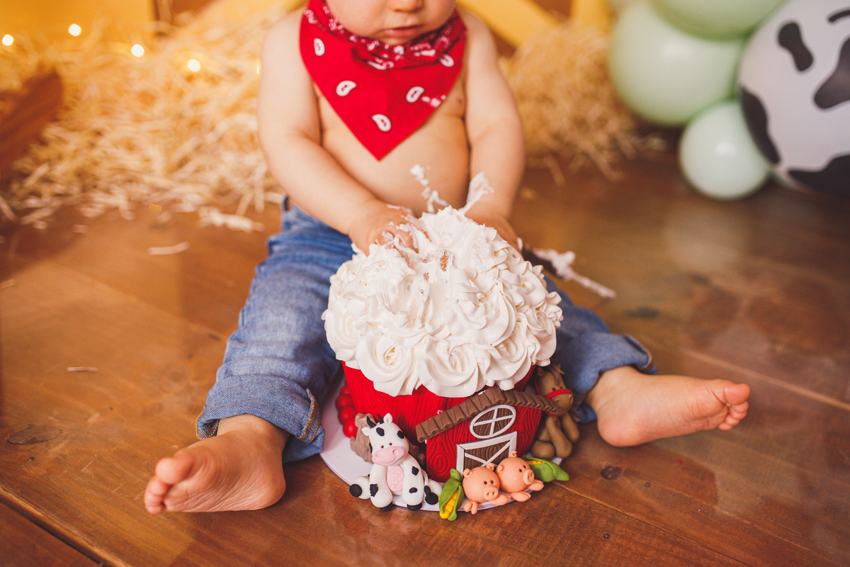 Fotografa familia Curitiba - smash the cake menino fazendinha