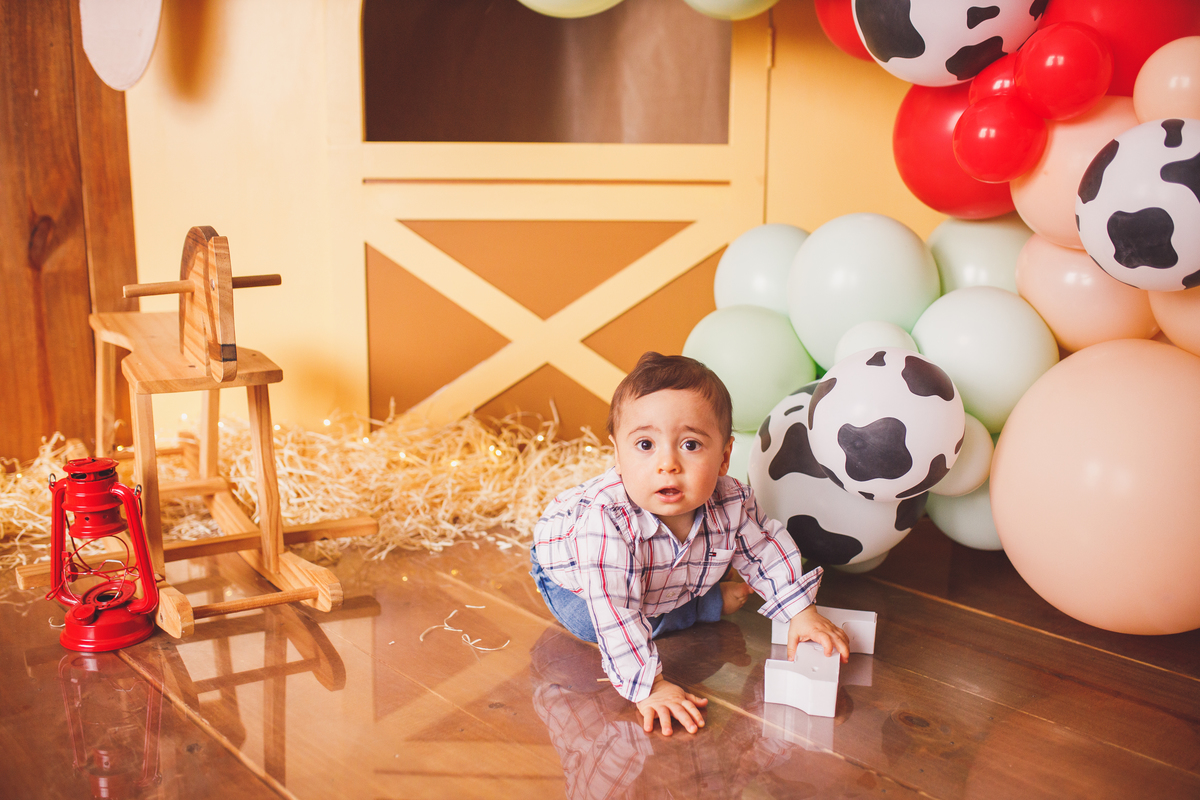Fotografa familia Curitiba - smash the cake menino fazendinha