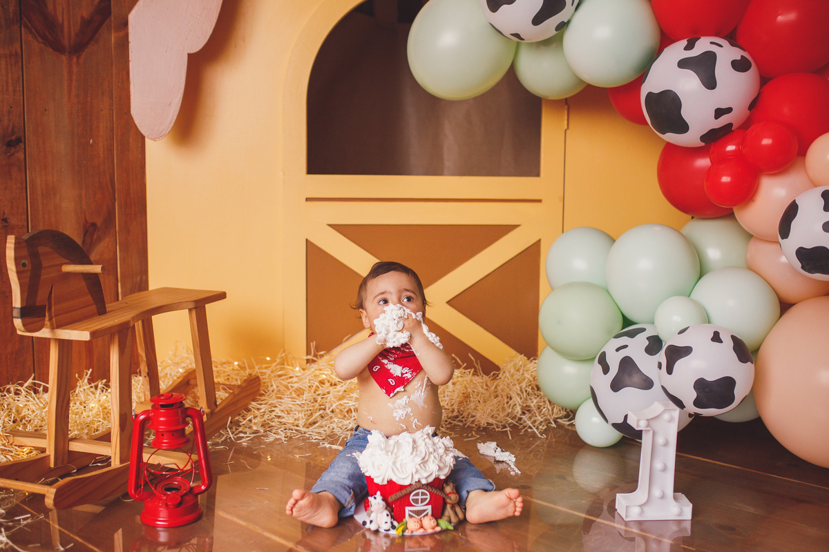 Fotografa familia Curitiba - smash the cake menino fazendinha