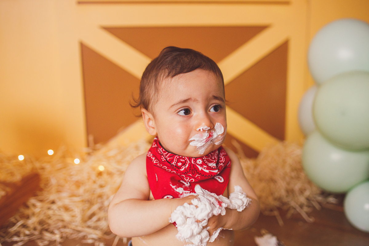Fotografa familia Curitiba - smash the cake menino fazendinha