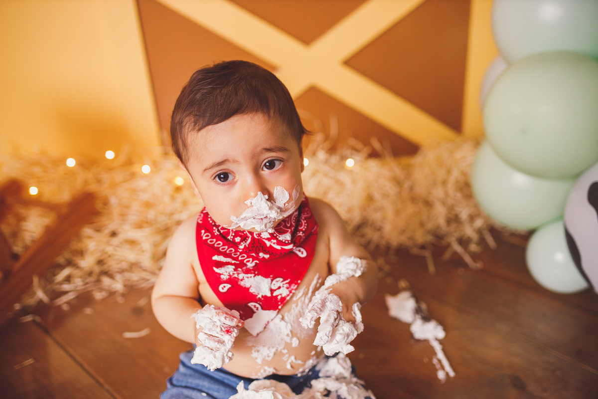 Fotografa familia Curitiba - smash the cake menino fazendinha