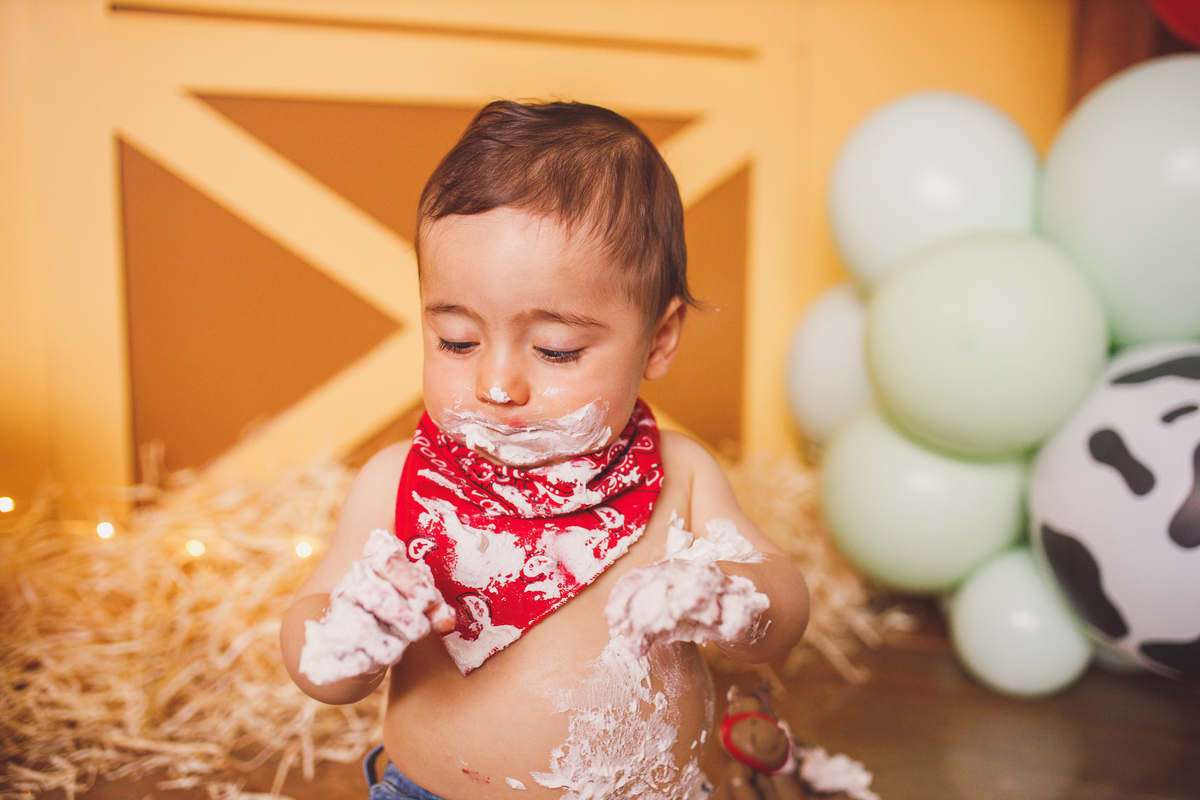 Fotografa familia Curitiba - smash the cake menino fazendinha