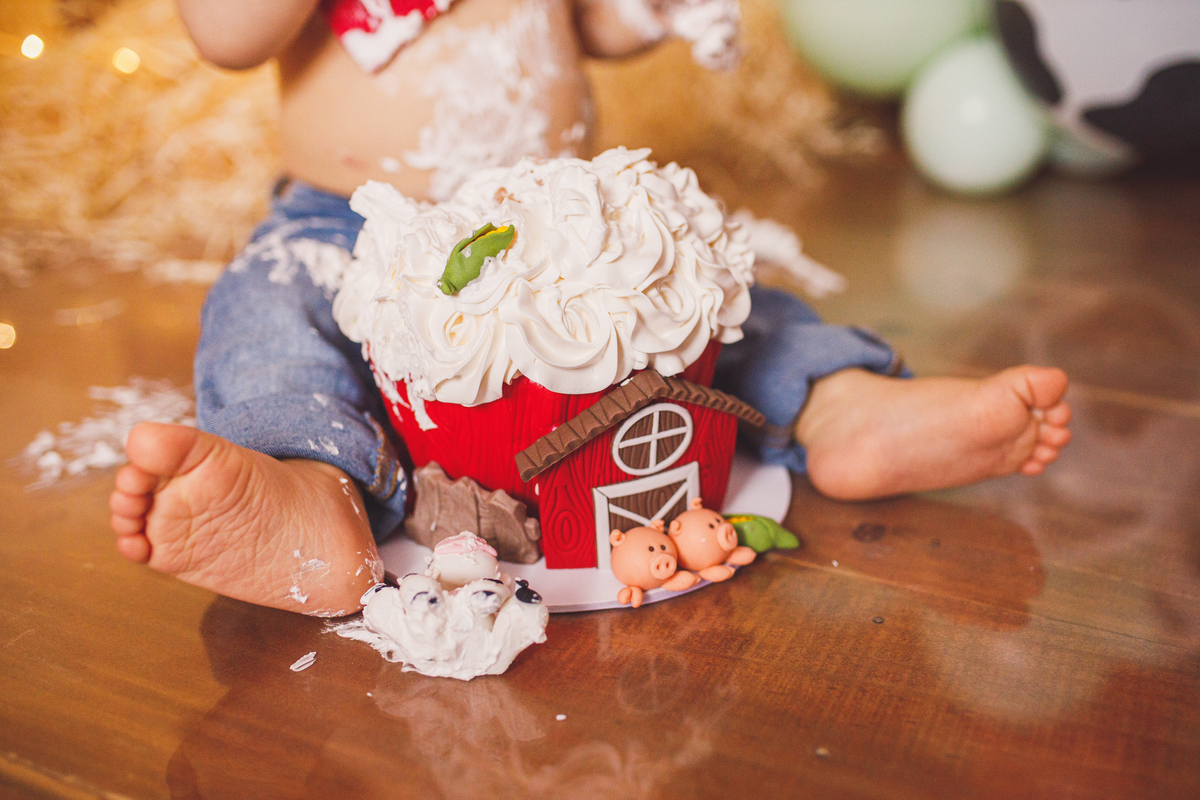 Fotografa familia Curitiba - smash the cake menino fazendinha