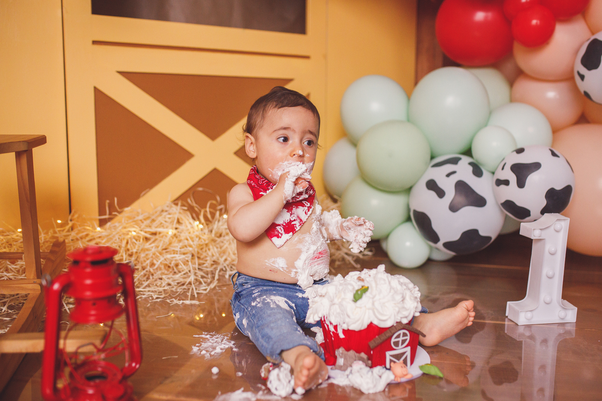 Fotografa familia Curitiba - smash the cake menino fazendinha