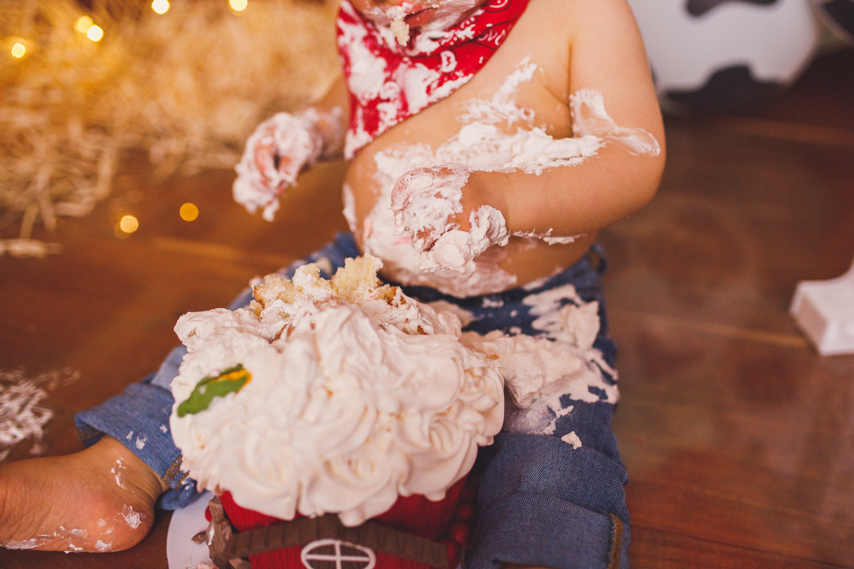 Fotografa familia Curitiba - smash the cake menino fazendinha