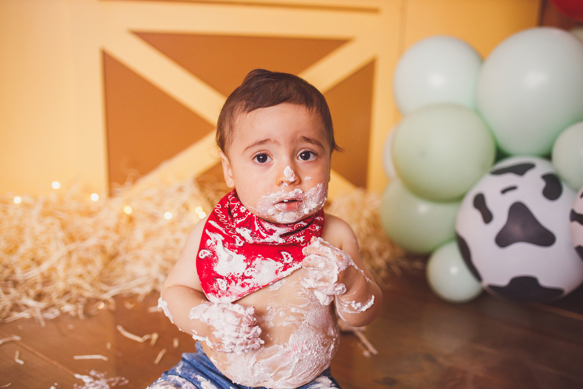 Fotografa familia Curitiba - smash the cake menino fazendinha