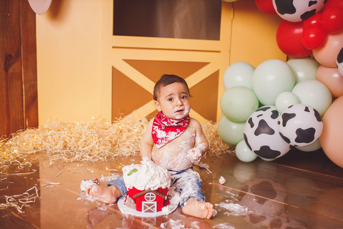Fotografa familia Curitiba - smash the cake menino fazendinha
