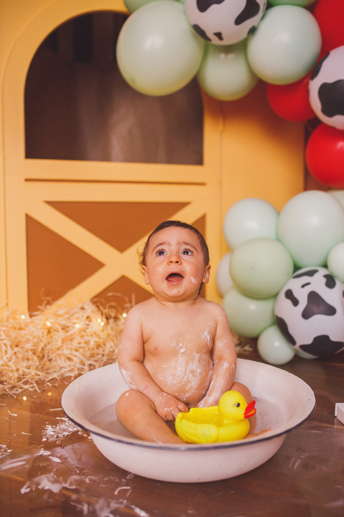 Fotografa familia Curitiba - smash the cake menino fazendinha