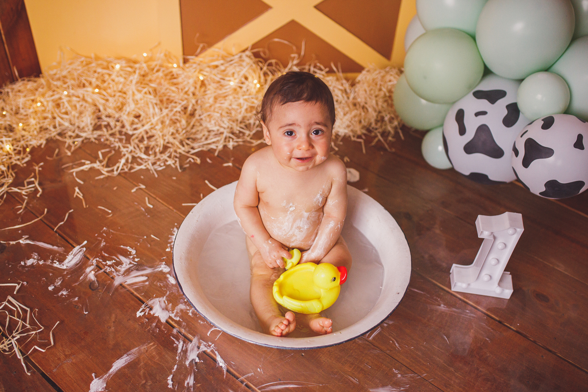 Fotografa familia Curitiba - smash the cake menino fazendinha