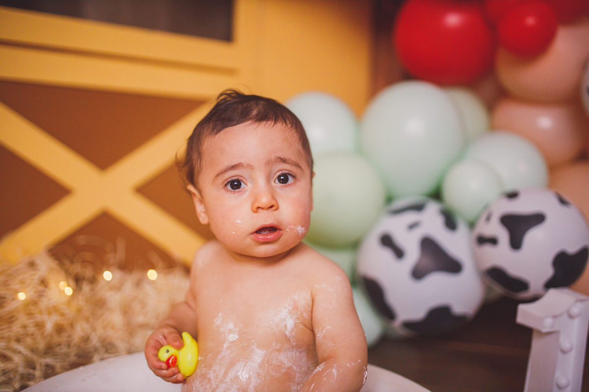 Fotografa familia Curitiba - smash the cake menino fazendinha