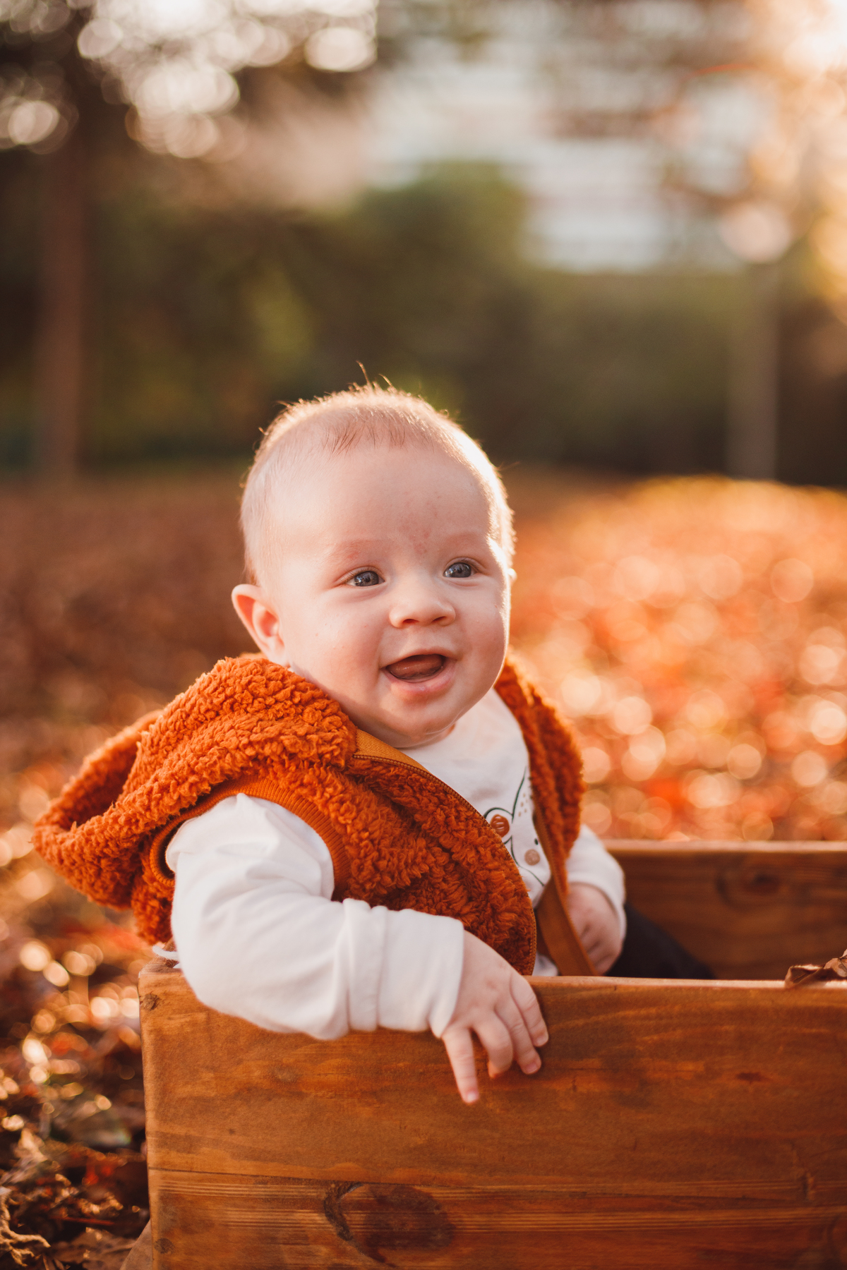 Fotografa familia Curitiba - ensaio externo de outono bebes