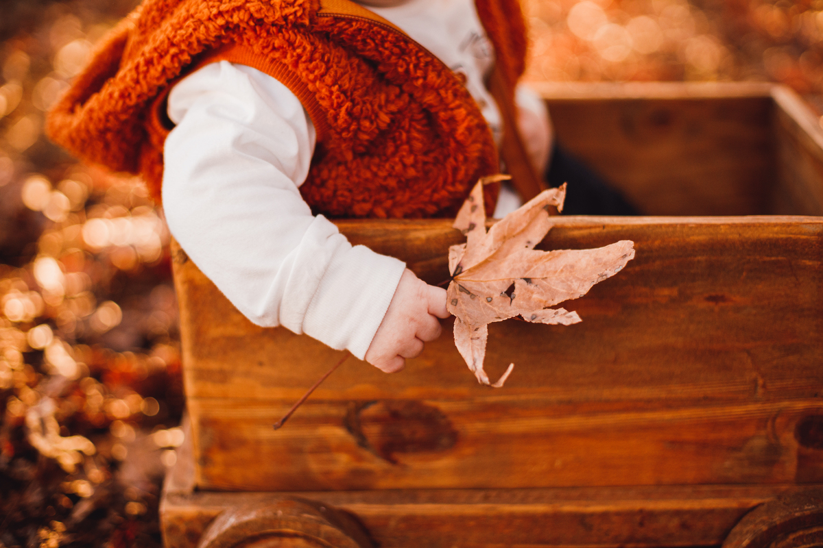 Fotografa familia Curitiba - ensaio externo de outono bebes