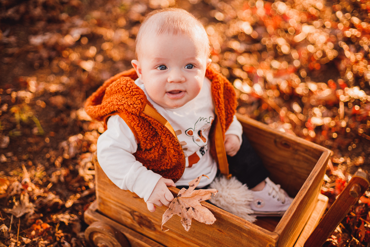 Fotografa familia Curitiba - ensaio externo de outono bebes