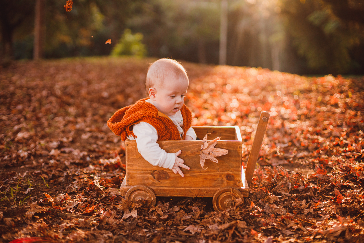 Fotografa familia Curitiba - ensaio externo de outono bebes