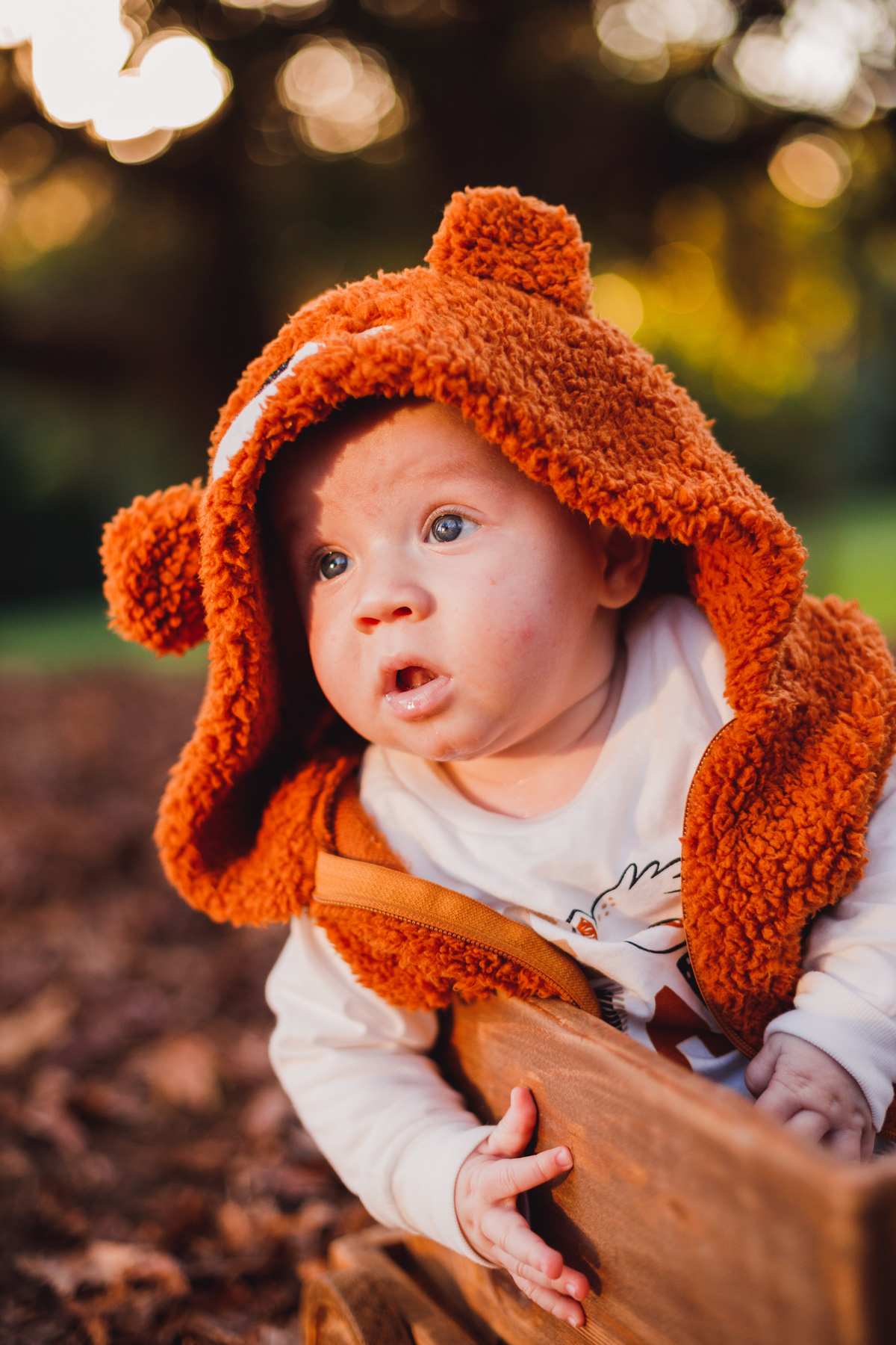 Fotografa familia Curitiba - ensaio externo de outono bebes