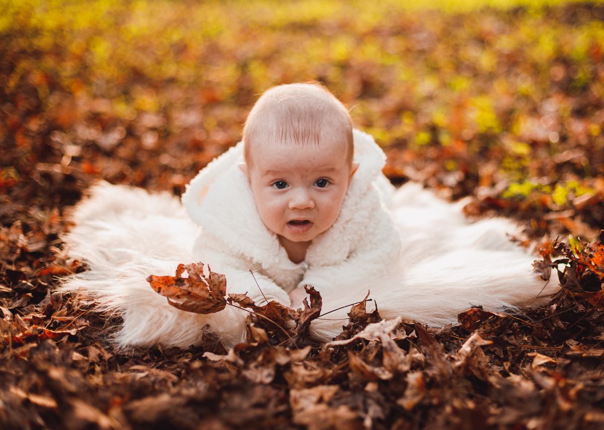 Fotografa familia Curitiba - ensaio externo de outono bebes