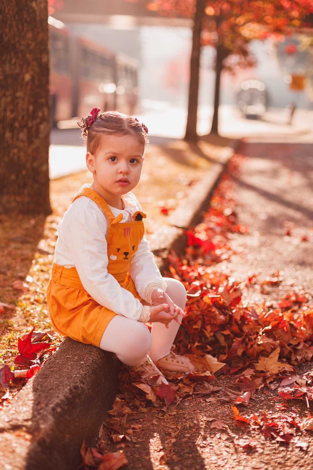 Fotografa familia Curitiba - ensaio externo de outono em familia