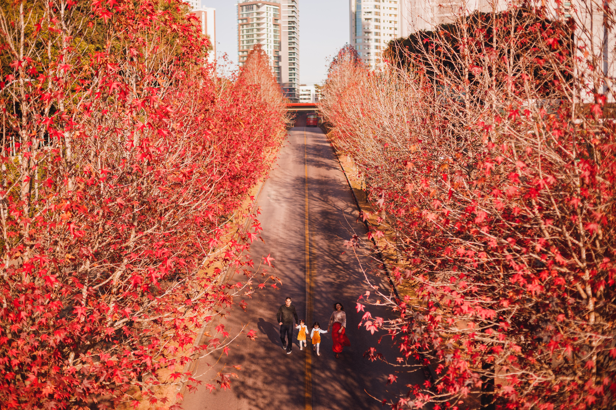 Fotografa familia Curitiba - ensaio externo de outono em familia