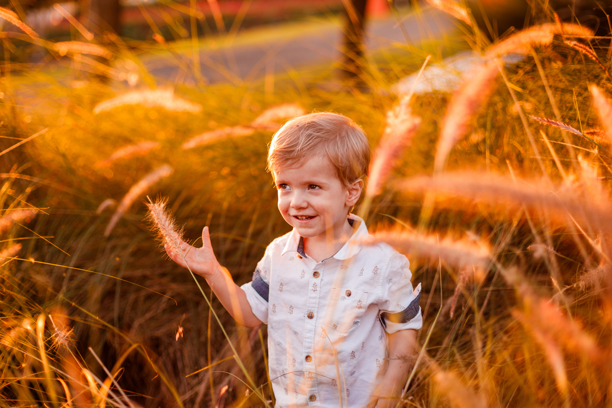 Fotografa familia curitiba - Holambra ensaio externo no girassolFotografa familia curitiba - Holambra ensaio externo no girassol
