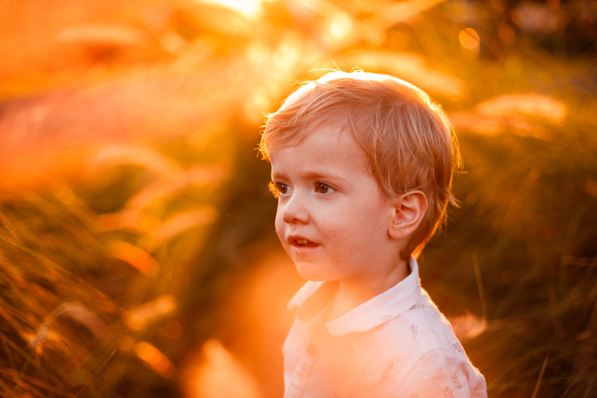 Fotografa familia curitiba - Holambra ensaio externo no girassol