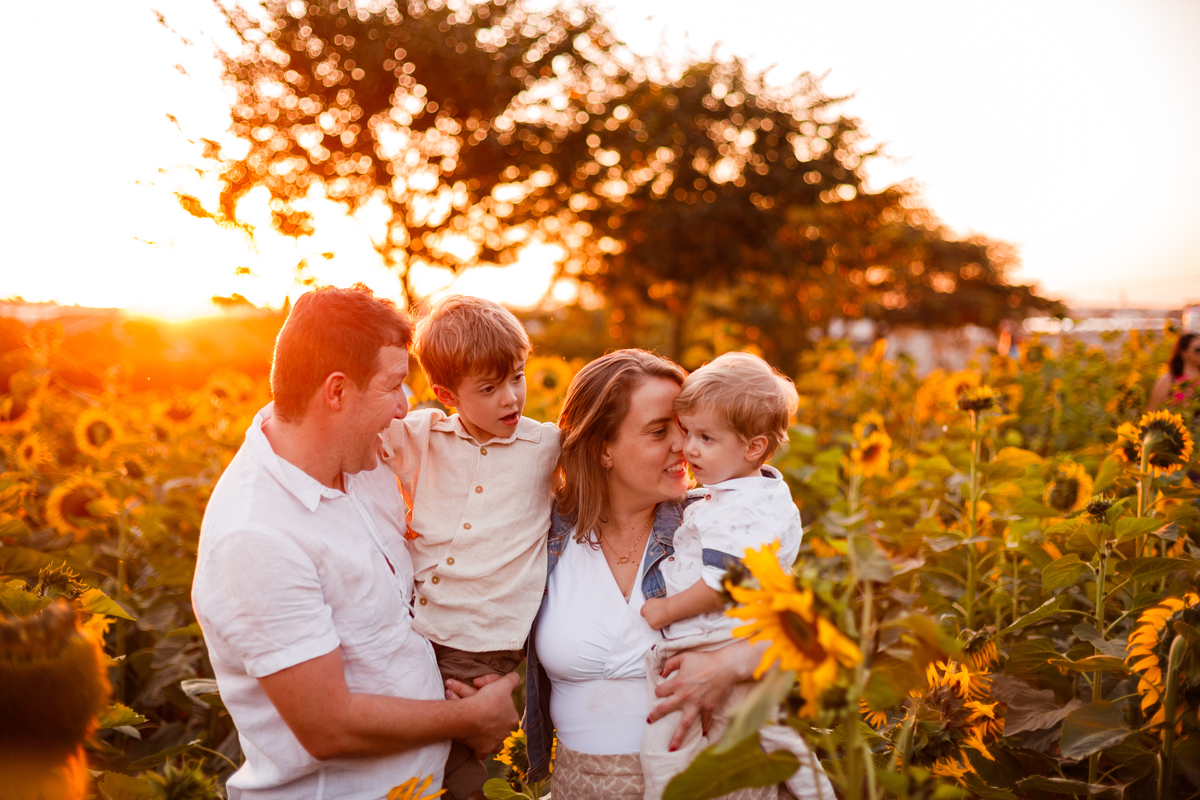 vFotografa familia curitiba - Holambra ensaio externo no girassolFotografa familia curitiba - Holambra ensaio externo no girassol