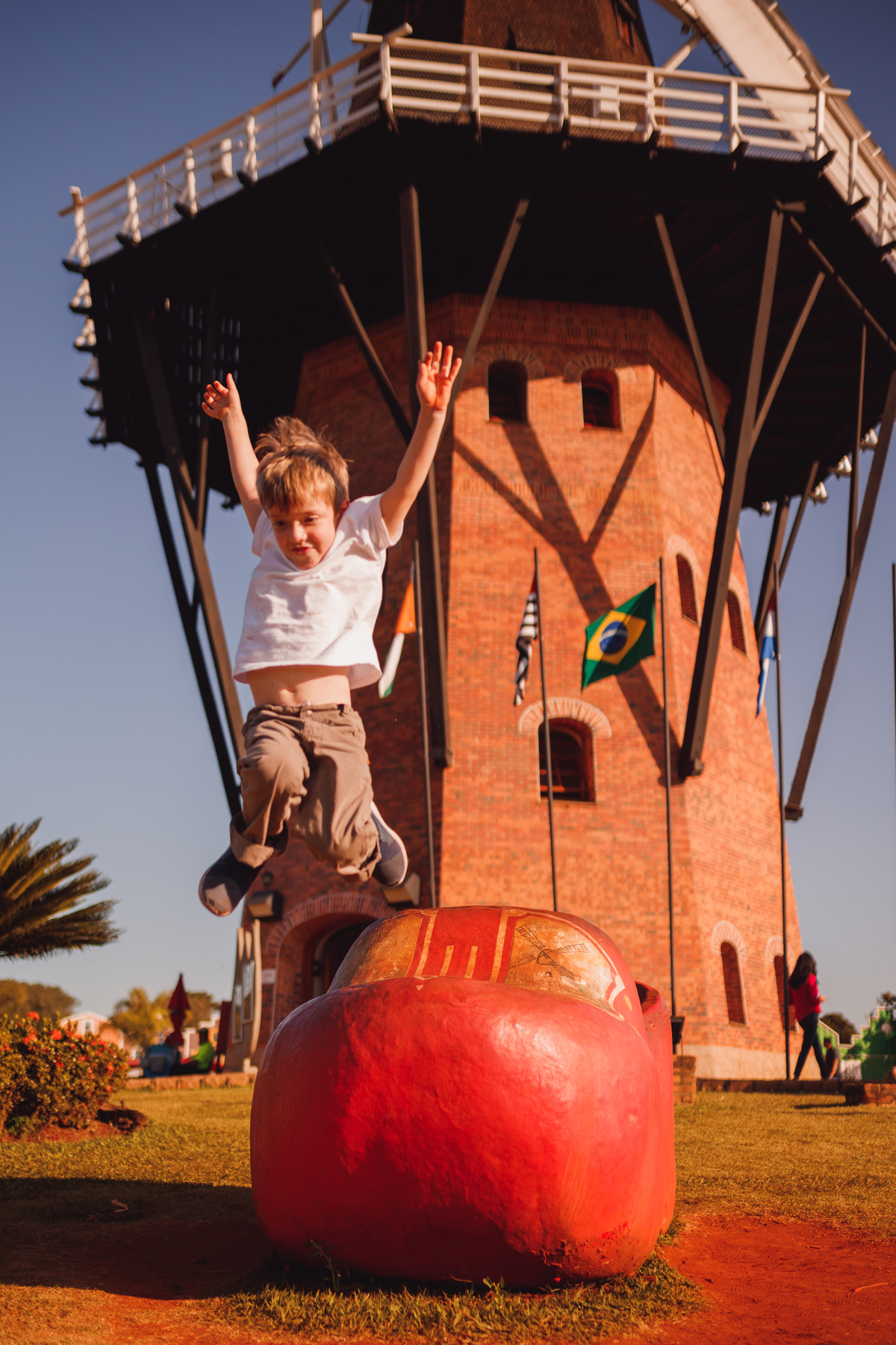 Fotografa familia curitiba - Holambra ensaio externo no girassol