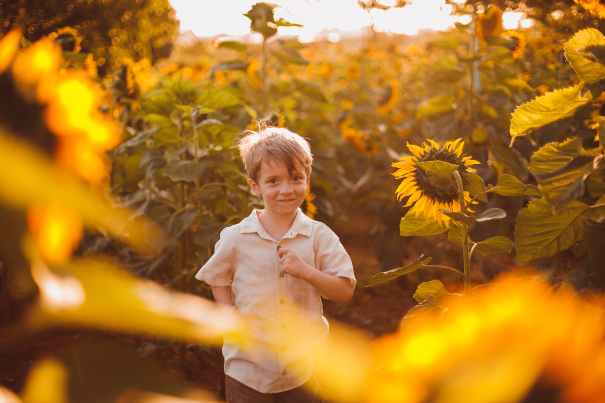 Fotografa familia curitiba - Holambra ensaio externo no girassol