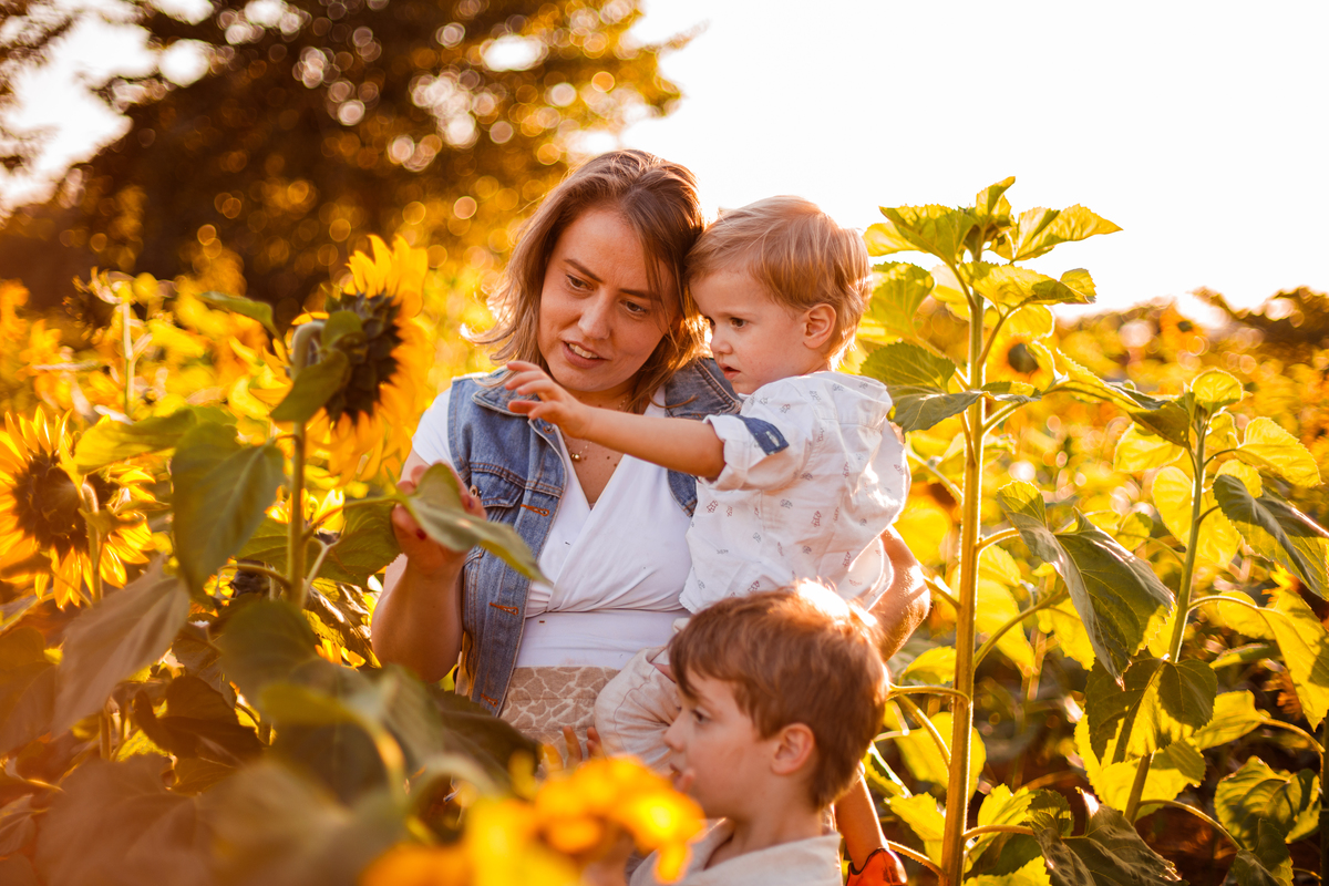 Fotografa familia curitiba - Holambra ensaio externo no girassol