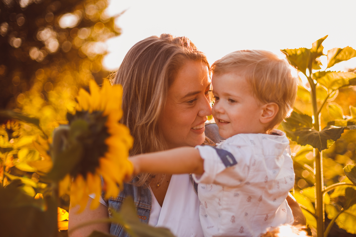 Fotografa familia curitiba - Holambra ensaio externo no girassol