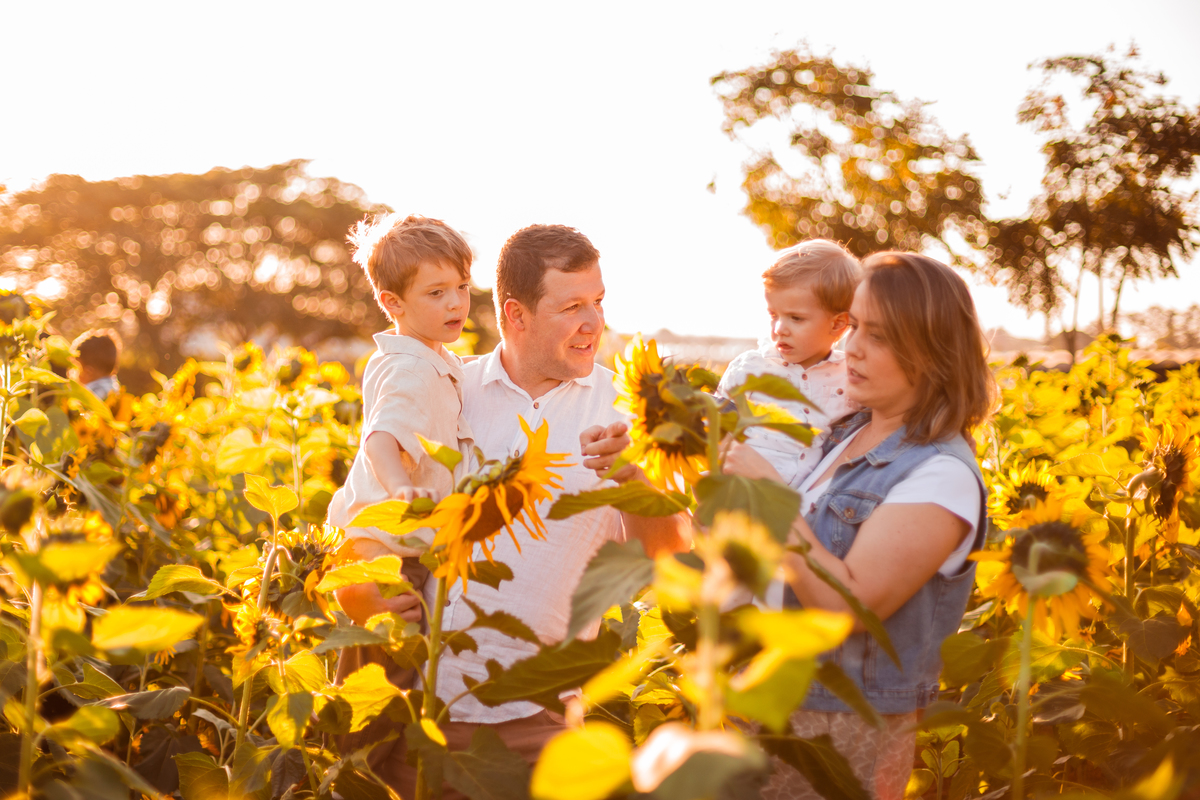 Fotografa familia curitiba - Holambra ensaio externo no girassol