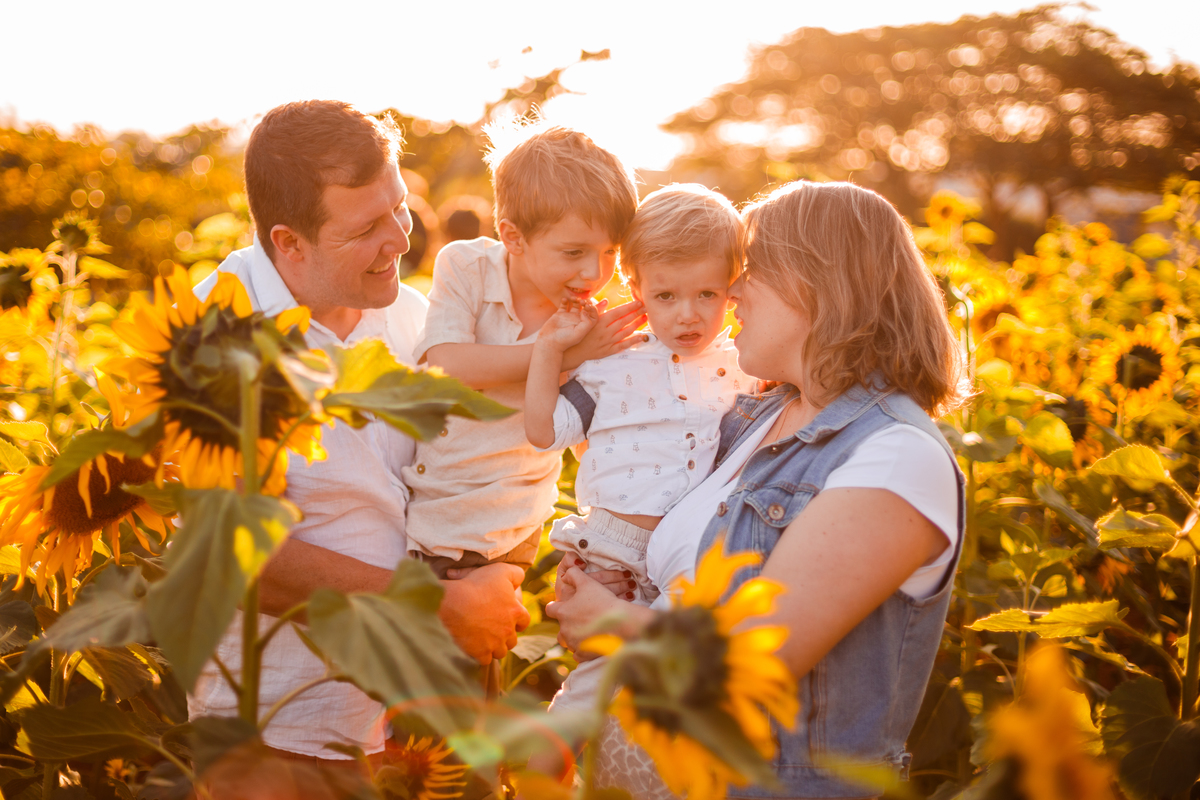 Fotografa familia curitiba - Holambra ensaio externo no girassol
