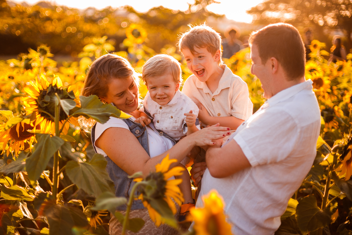 Fotografa familia curitiba - Holambra ensaio externo no girassol