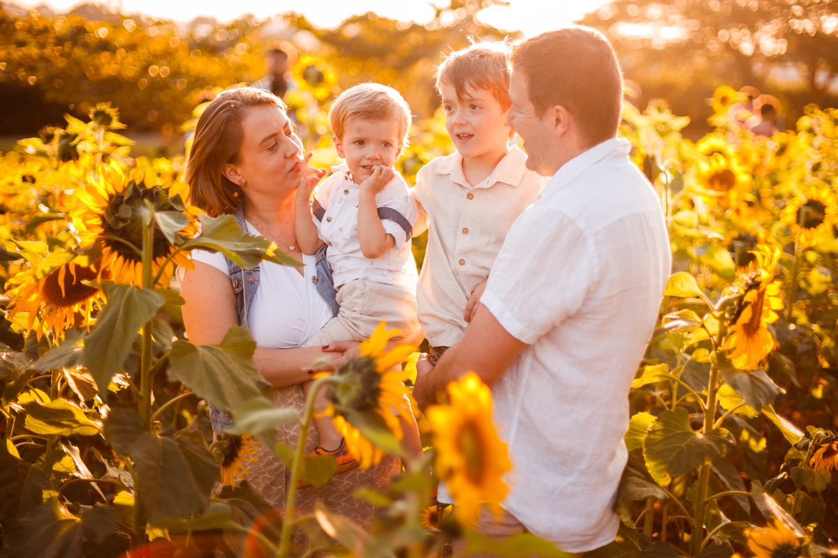 Fotografa familia curitiba - Holambra ensaio externo no girassol