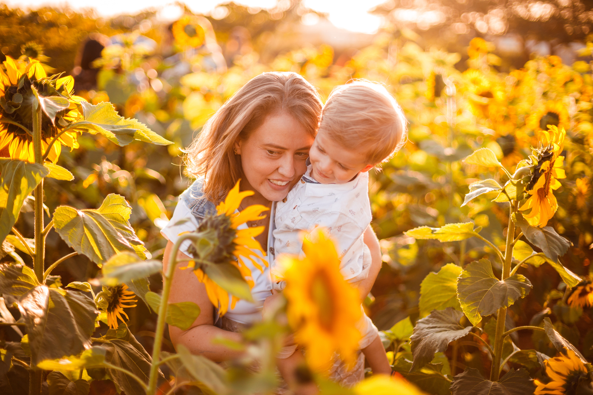 Fotografa familia curitiba - Holambra ensaio externo no girassol
