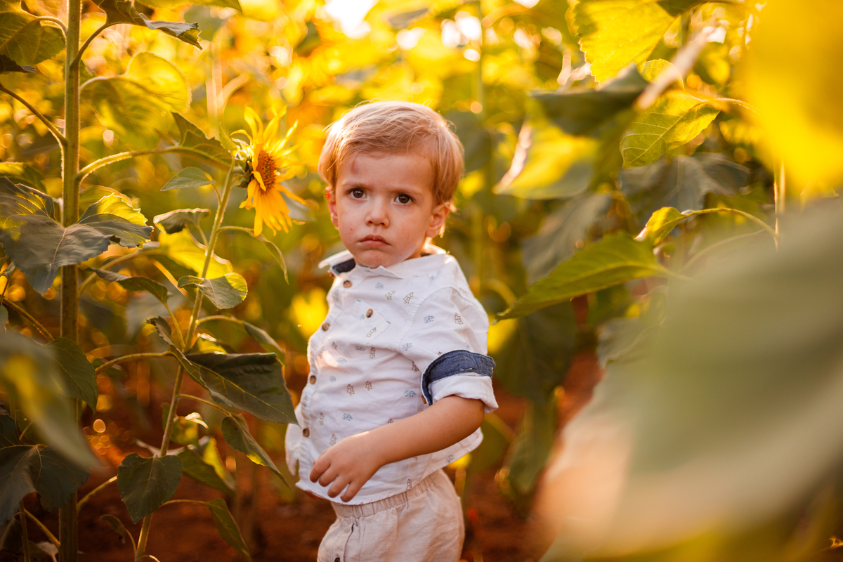 Fotografa familia curitiba - Holambra ensaio externo no girassol