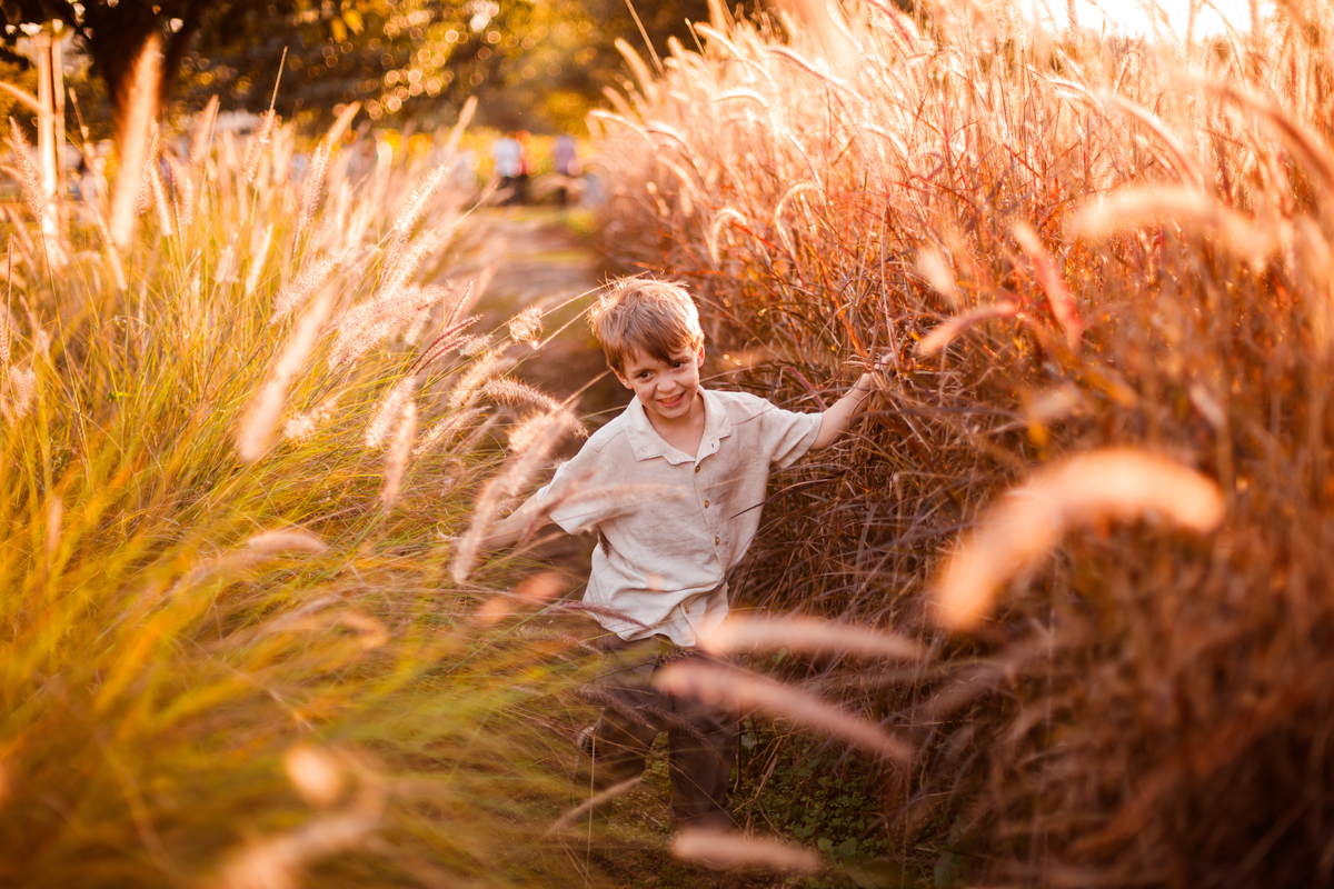 Fotografa familia curitiba - Holambra ensaio externo no girassol