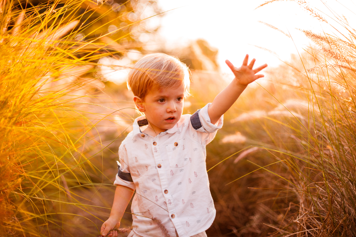 Fotografa familia curitiba - Holambra ensaio externo no girassol