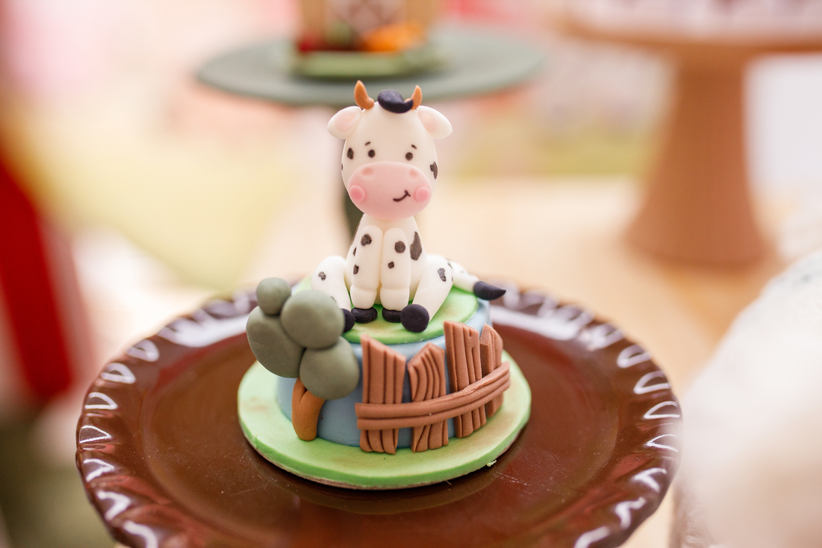 Fotografa familia curitiba - aniversario salvo de festas fazendinha