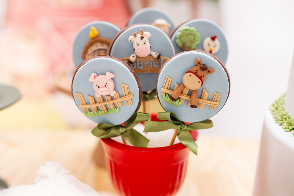 Fotografa familia curitiba - aniversario salvo de festas fazendinha