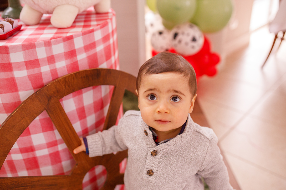 Fotografa familia curitiba - aniversario salvo de festas fazendinha